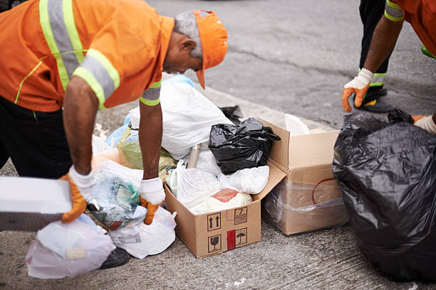 Professional Junk Removal in Phelan, CA